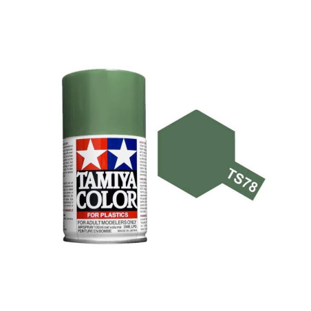 TS78 Gris campagne mat