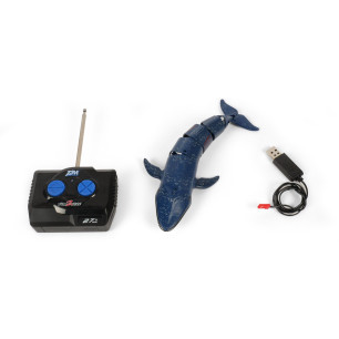 RC BIG WHALE